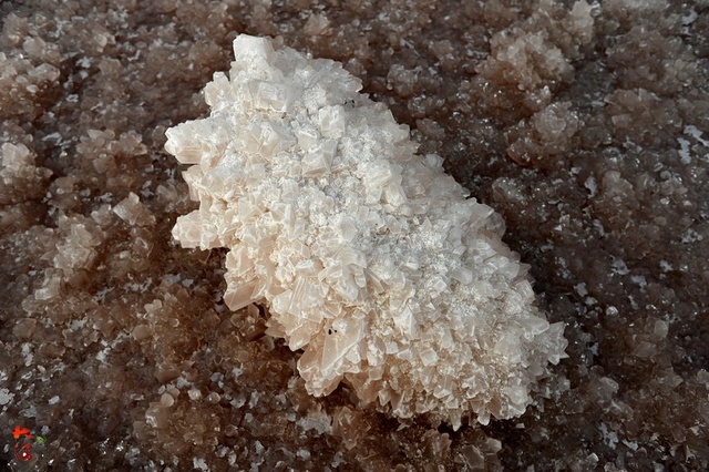 水硝最新上新的独特魅力及广阔应用前景探索