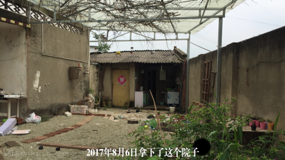 满叔的院子最新动态概览