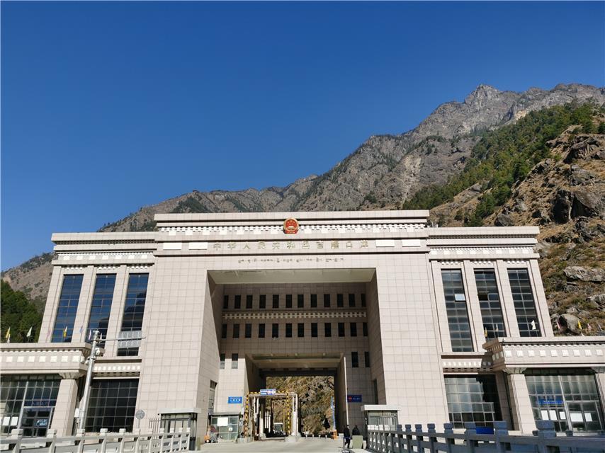 疫情肺炎最新数据报告与分析，洞悉疫情动态