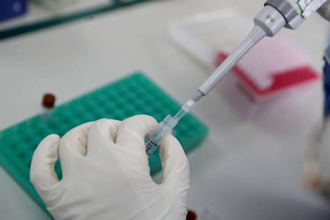 上海专业高效安全的核酸检测机构最新信息