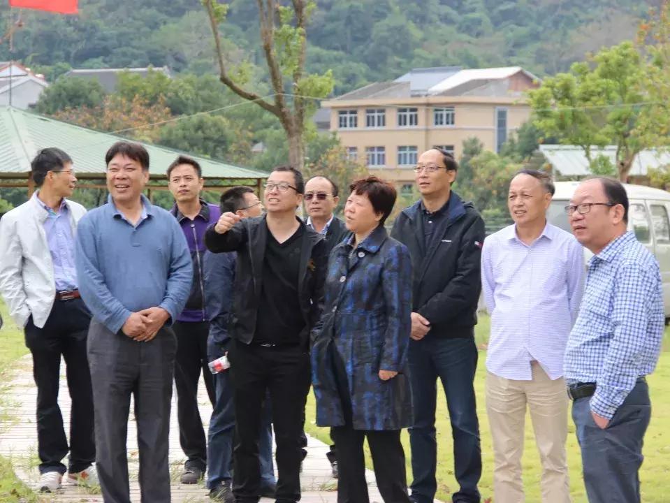 温岭最新文件，引领城市发展的核心动力之源