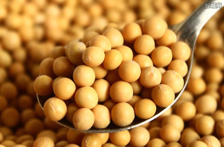 美国大豆最新价格动态，市场走势、影响因素与前景展望